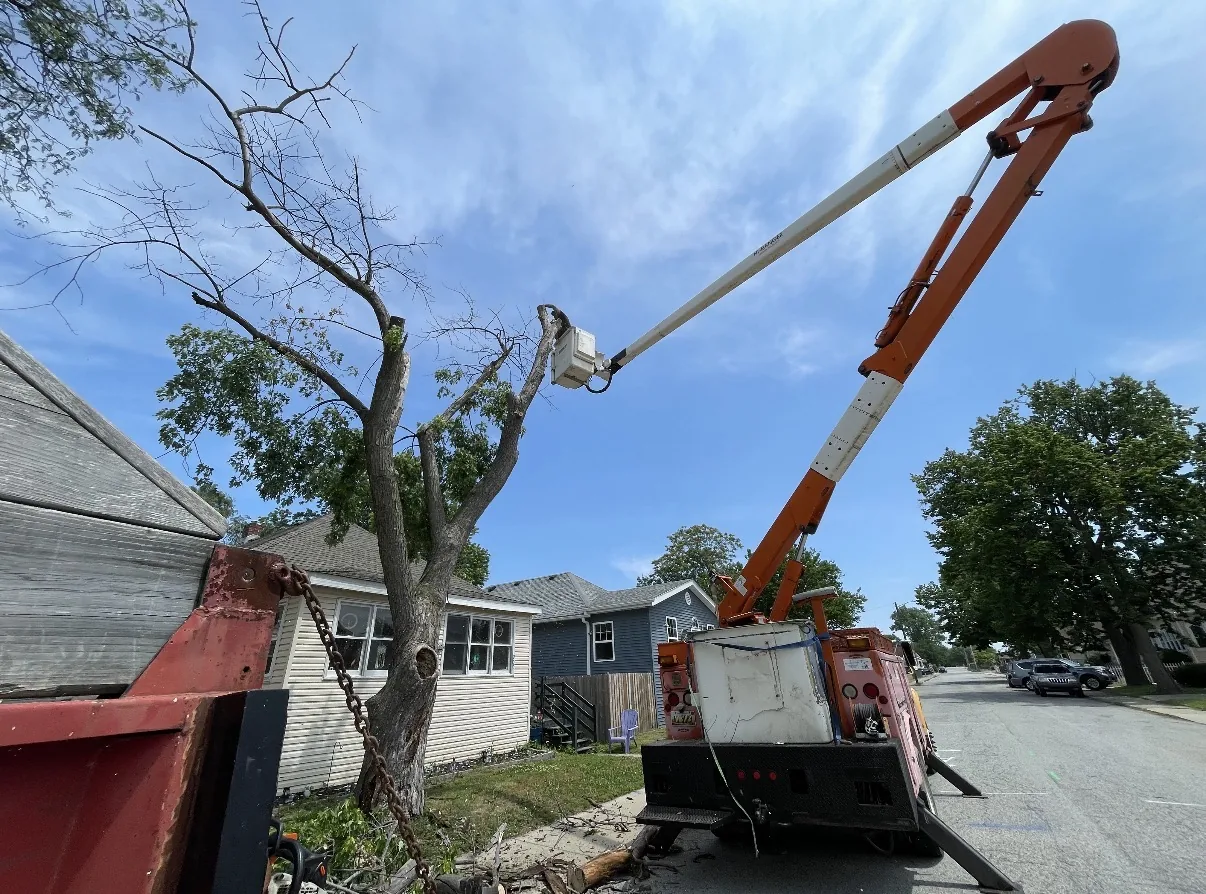 Bucket truck used for professional tree work
