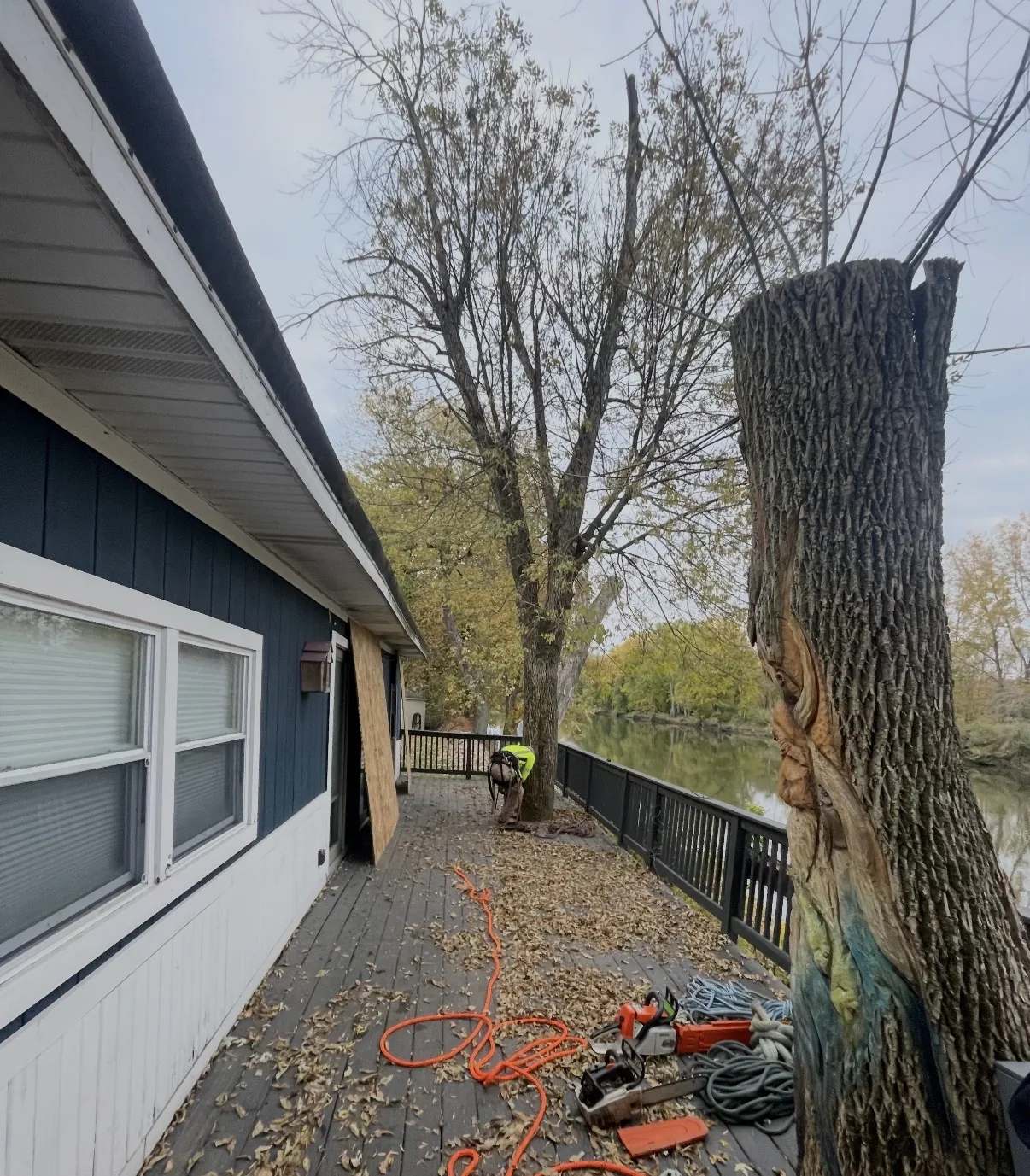 Tree removal beside a waterfront deck